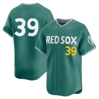 Men's Limited Green Marcelo Mayer Boston Red Sox 2025 City Connect Jersey